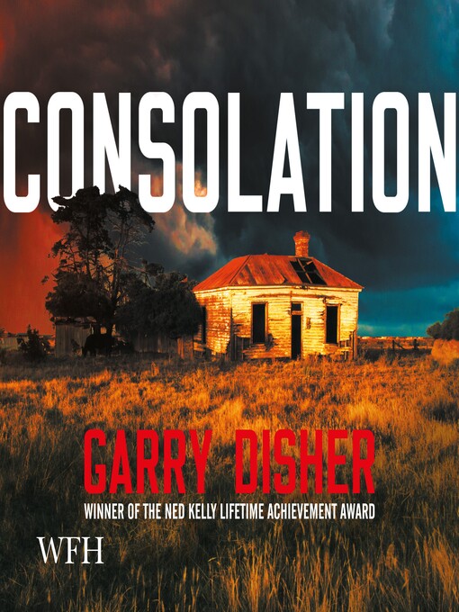 Cover image for Consolation